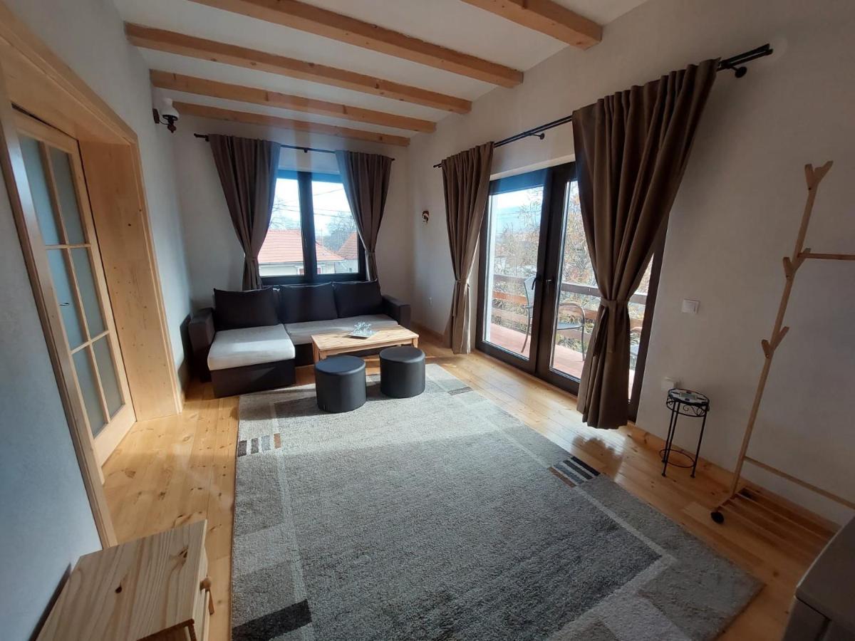 Casa Oaspeti Transfagarasan Apartment Cartisoara Luaran gambar